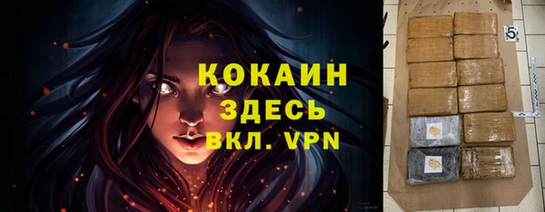 соль курить ск Новодвинск
