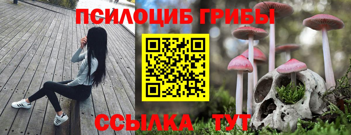 Краснокамск  Псилоцибиновые грибы Cubensis  Псилоцибиновые грибы ЛСД  Вход с VPN 
